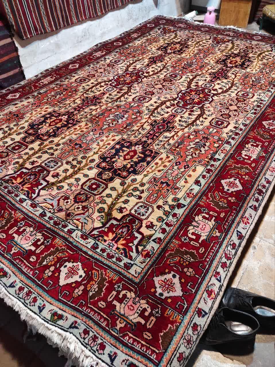 تک شش متری خیلی عالی|فرش|مراغه, |دیوار