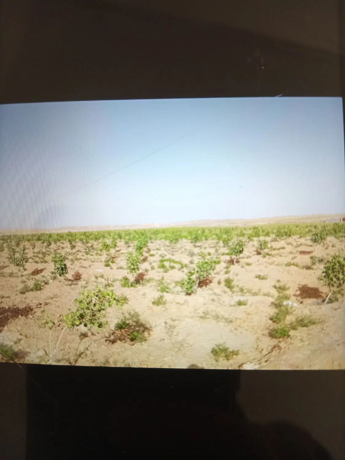 فروش زمین ۹۰۰۰ متری در شهرک شهید رجایی|فروش زمین و ملک کلنگی|مشهد, مهدی آباد|دیوار