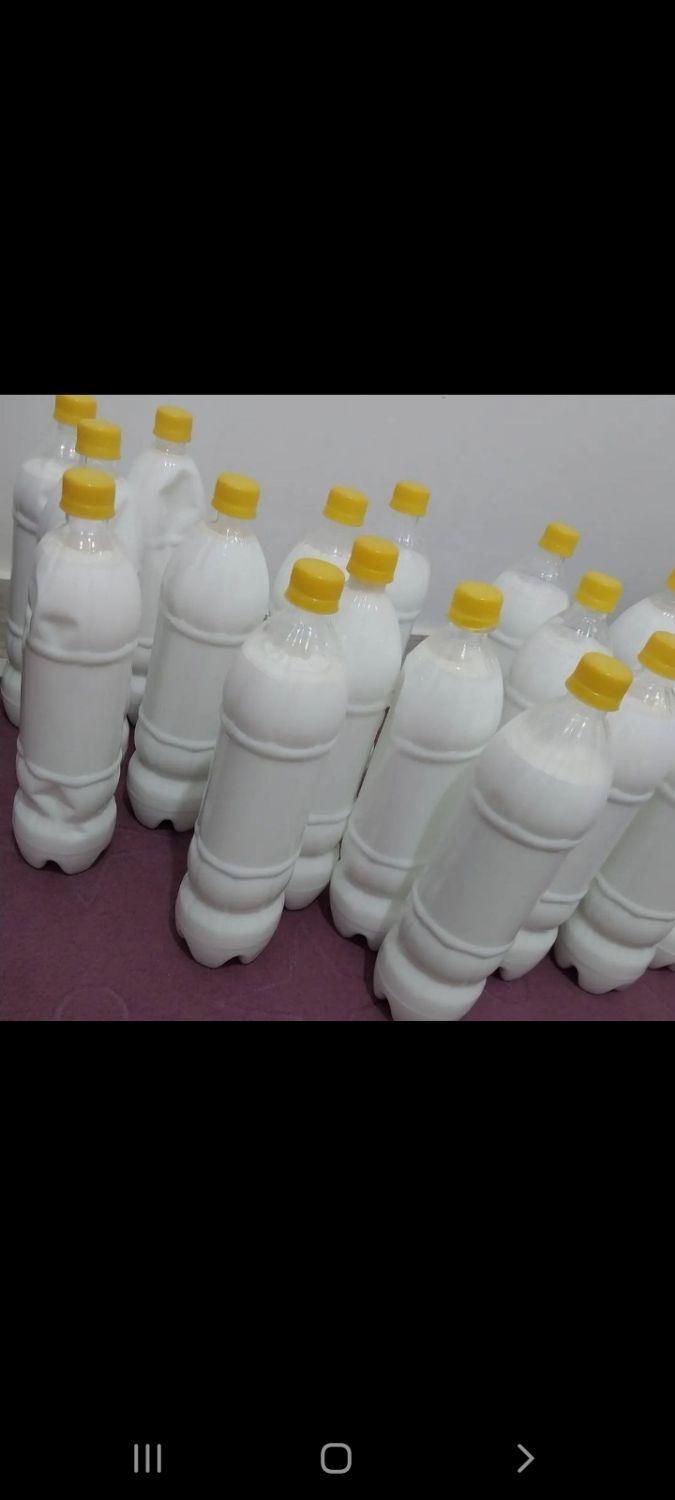 سم سوسک دست ساز قوی|لوازم نظافت|پاکدشت, پاکدشت (مامازند)|دیوار