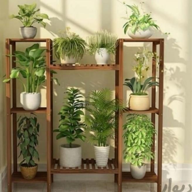 استند گل چوبی بافق|گل و گیاه طبیعی|بافق, |دیوار