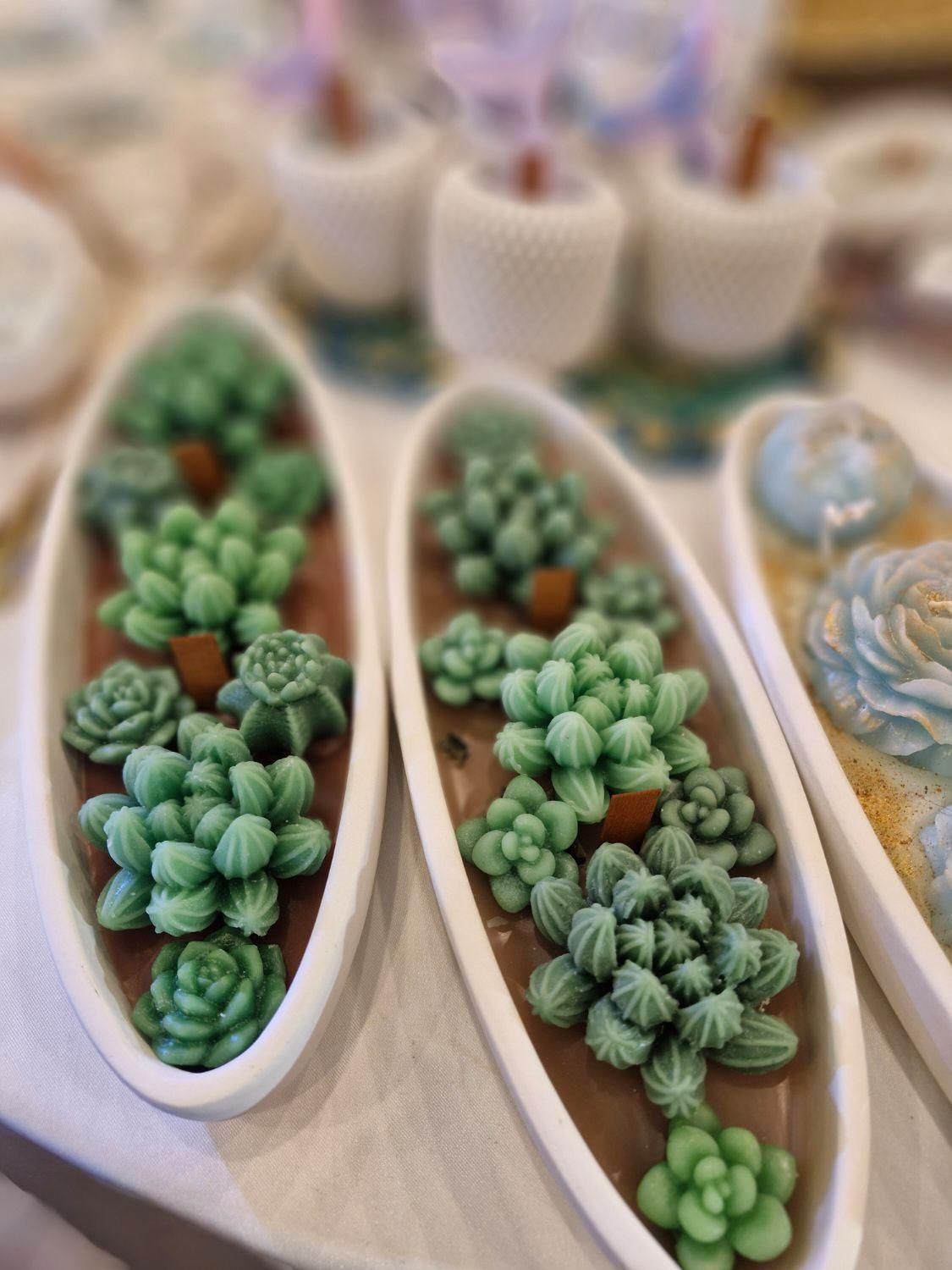 حراجی انواع شمع های دکوراتیو سنگی ،دریا ،کاکتوس|صنایع دستی و سایر لوازم تزئینی|تبریز, |دیوار