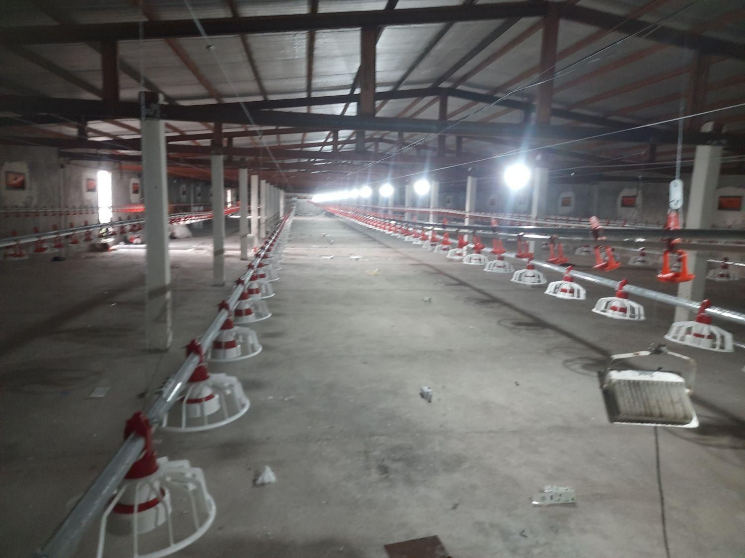 نصب تجهیزات مرغداری و گلخونه و خرید اجناس دست دو|ماشینآلات صنعتی|بستان آباد, |دیوار