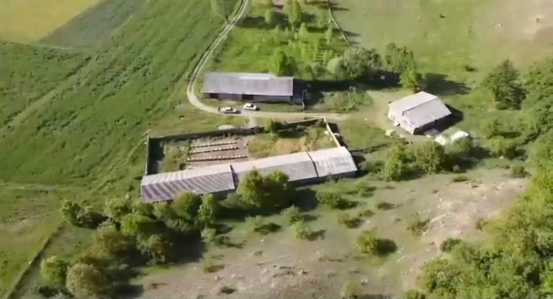 فروش مزرعه وتاسیسات دامپروری درمنطقه ۴دانگه ساری|فروش دفتر صنعتی، کشاورزی، تجاری|کیاسر, |دیوار