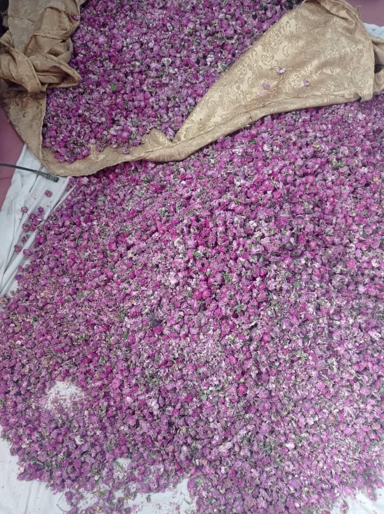 گلاب دو آتیشه گلاب اصل گلاب شهرکرد غنچه گلاب|خوردنی و آشامیدنی|اصفهان, شفق|دیوار