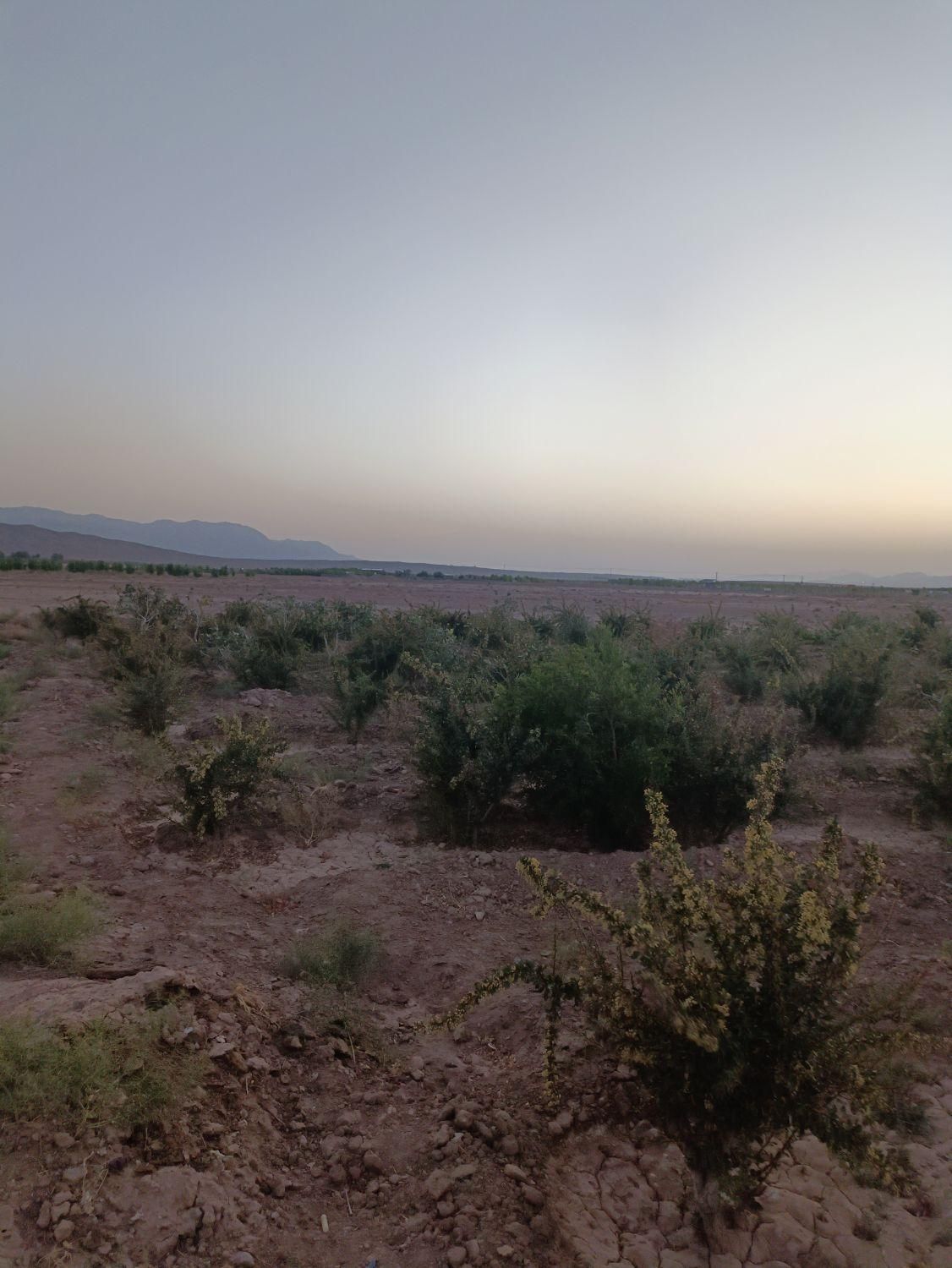 تصویر 2