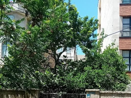 ملک گلنگی/ تجاری دار|فروش زمین و ملک کلنگی|تهران, وحیدیه|دیوار
