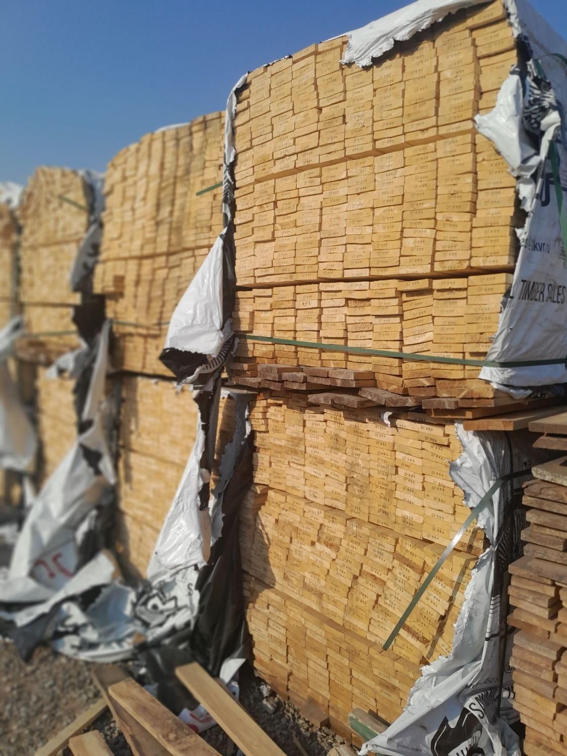 تخته روسی قالب بندی و زیر پایی(تخته بنایی)|مصالح و تجهیزات ساختمان|ارومیه, |دیوار