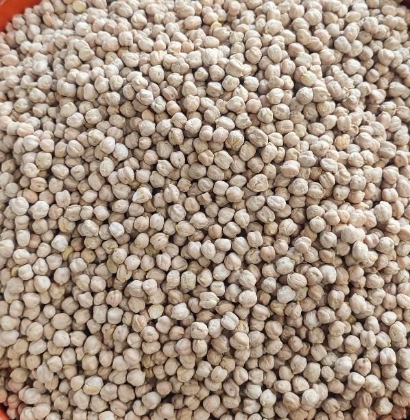 پخش عمده انواع نخود|عمده‌فروشی|کرج, عظیمیه|دیوار