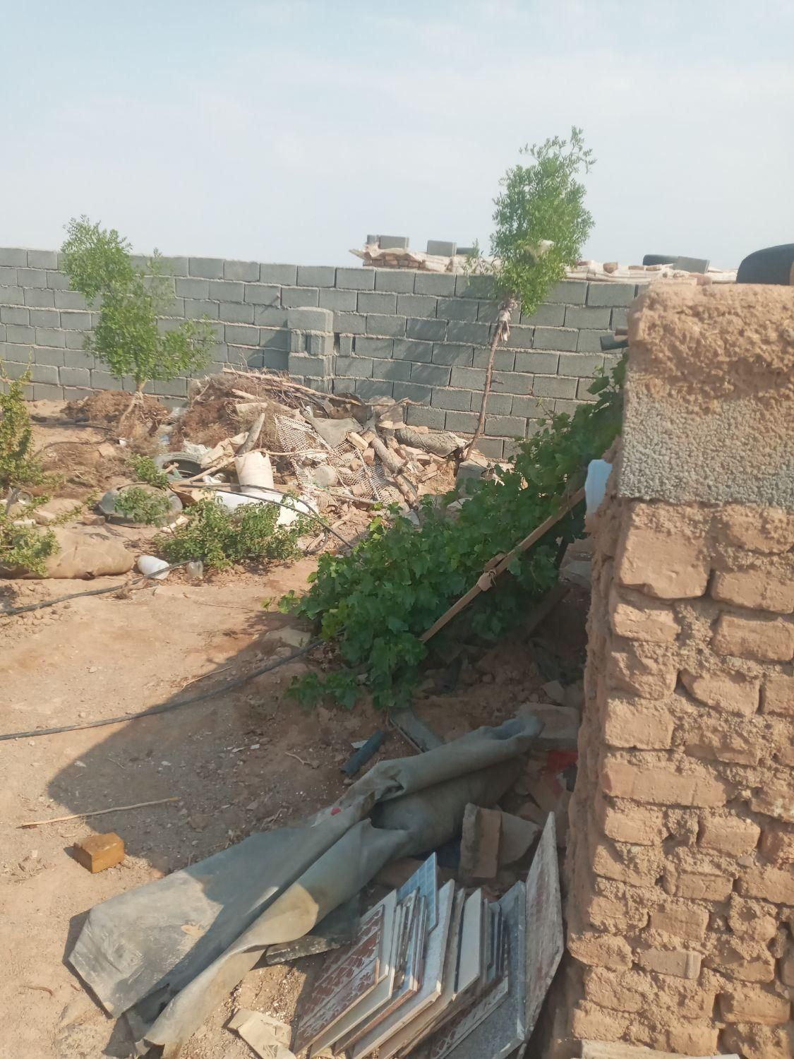 تصویر 3