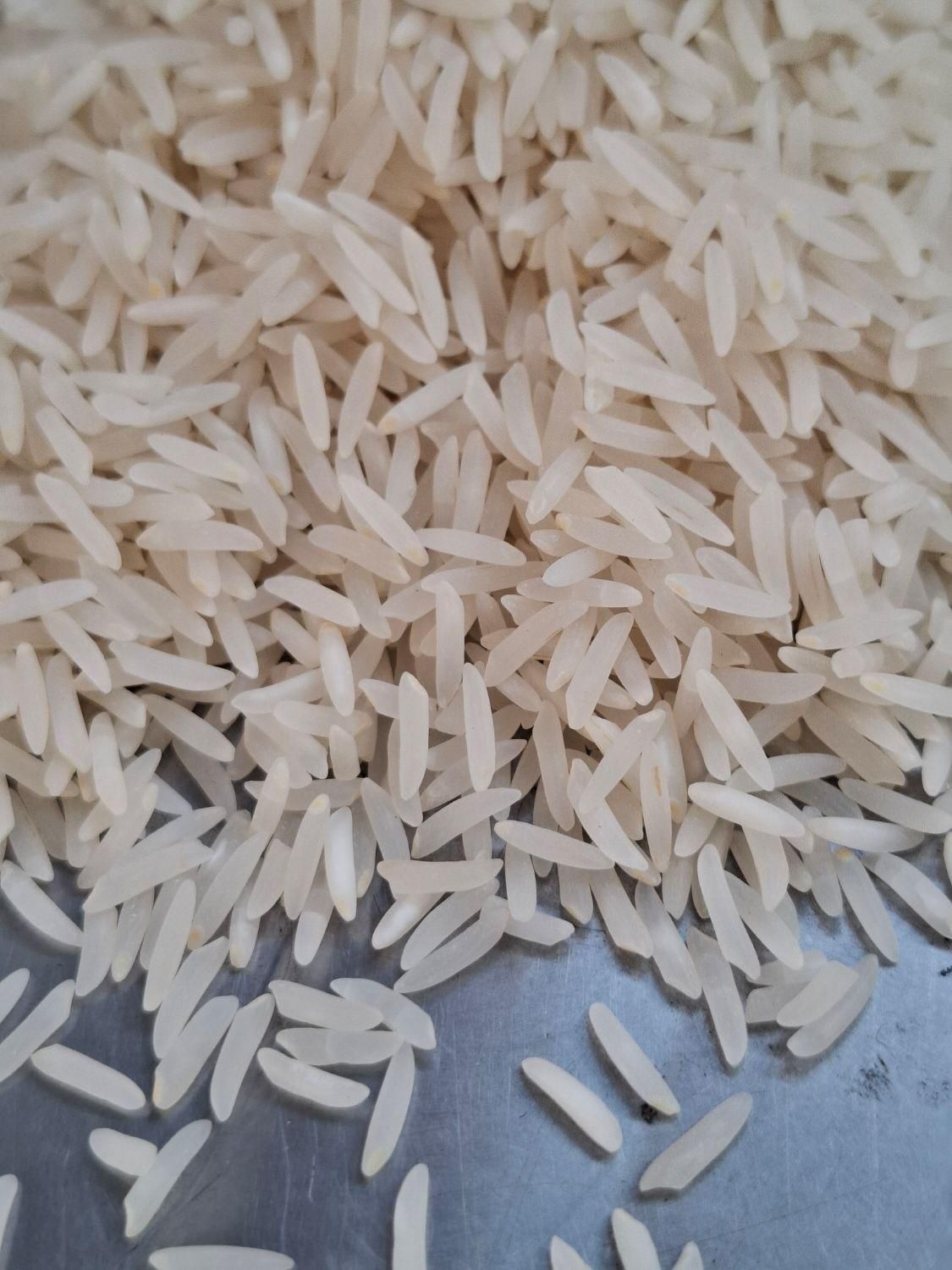 برنج ایرانی فجرستاره مازندران غلامعباس فلاح (10kg)|عمده‌فروشی|مشهد, رسالت|دیوار
