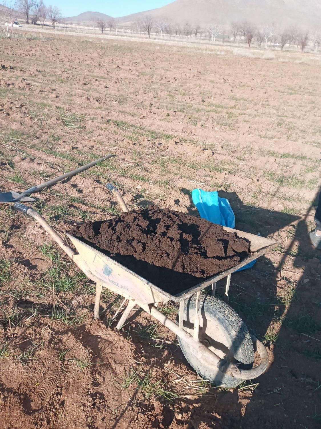 کود ارگانیک ورمی کمپوست|خدمات باغبانی و درختکاری|اراک, |دیوار