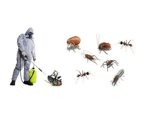 سم پاشی ساس و سوسک به صورت تخصصی و مناسب|خدمات نظافت|تهران, آرژانتین|دیوار