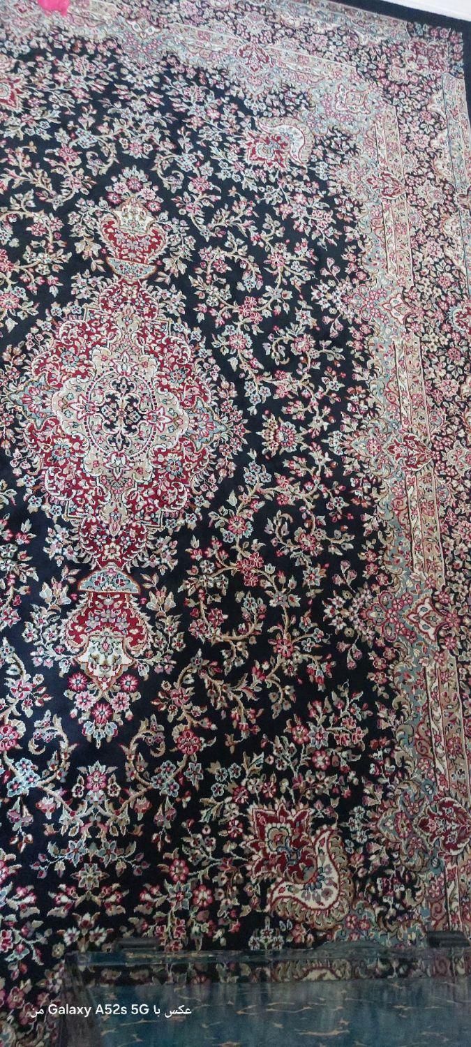 فرش ۶ متری|فرش|زنجان, |دیوار