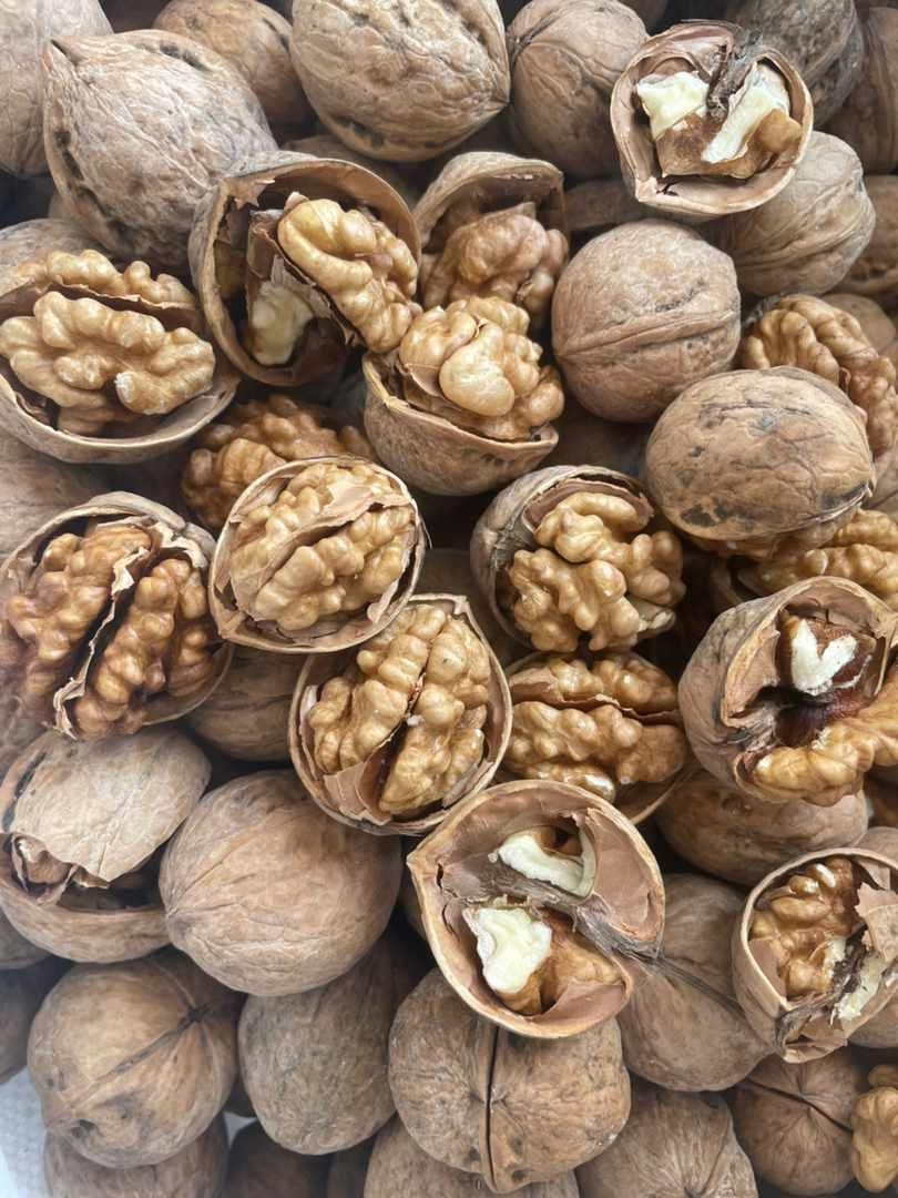 گردو‌/مغزگردو/مغز/خشکبار|خوردنی و آشامیدنی|تهران, اباذر|دیوار