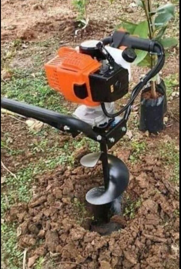 چمن علف زنی چاله کنی سمپاشی بریدن درخت با مجوز|خدمات باغبانی و درختکاری|صومعه‌سرا, |دیوار