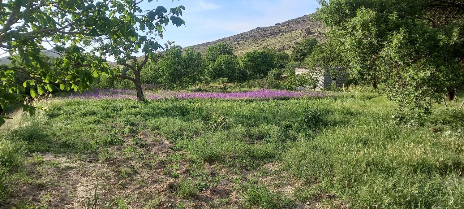 زمین مسکونی نیروگاه ۸۶متر امتیازات بالا سرش|فروش زمین و ملک کلنگی|آذرشهر, |دیوار