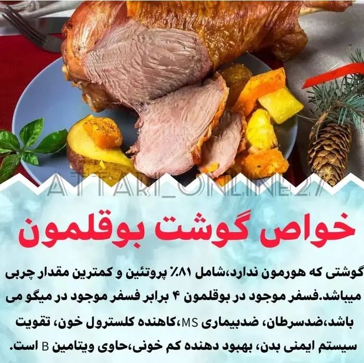 بوقلمون زنده و گوشت سینه و ران و گردن و بال و کتف|حیوانات مزرعه|مشهد, دانشجو|دیوار