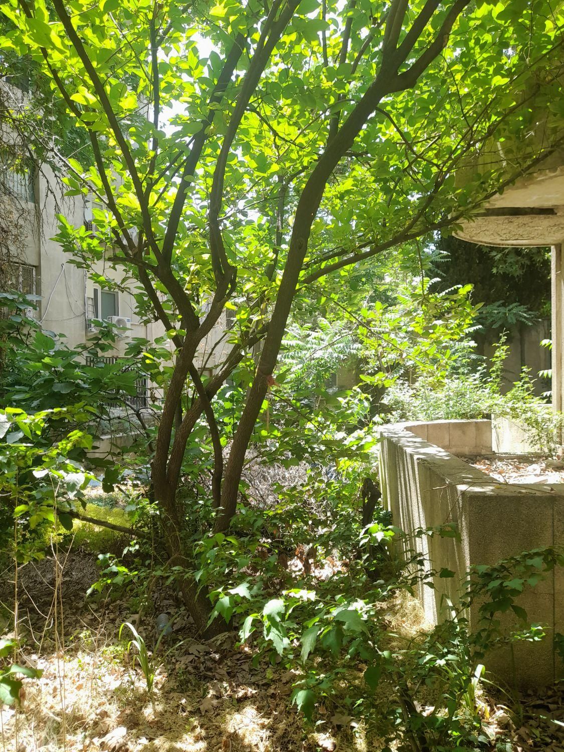 فروش خانه ویلایی ۲۰۰ متر پاسداران فرخی یزدی|فروش خانه و ویلا|تهران, پاسداران|دیوار