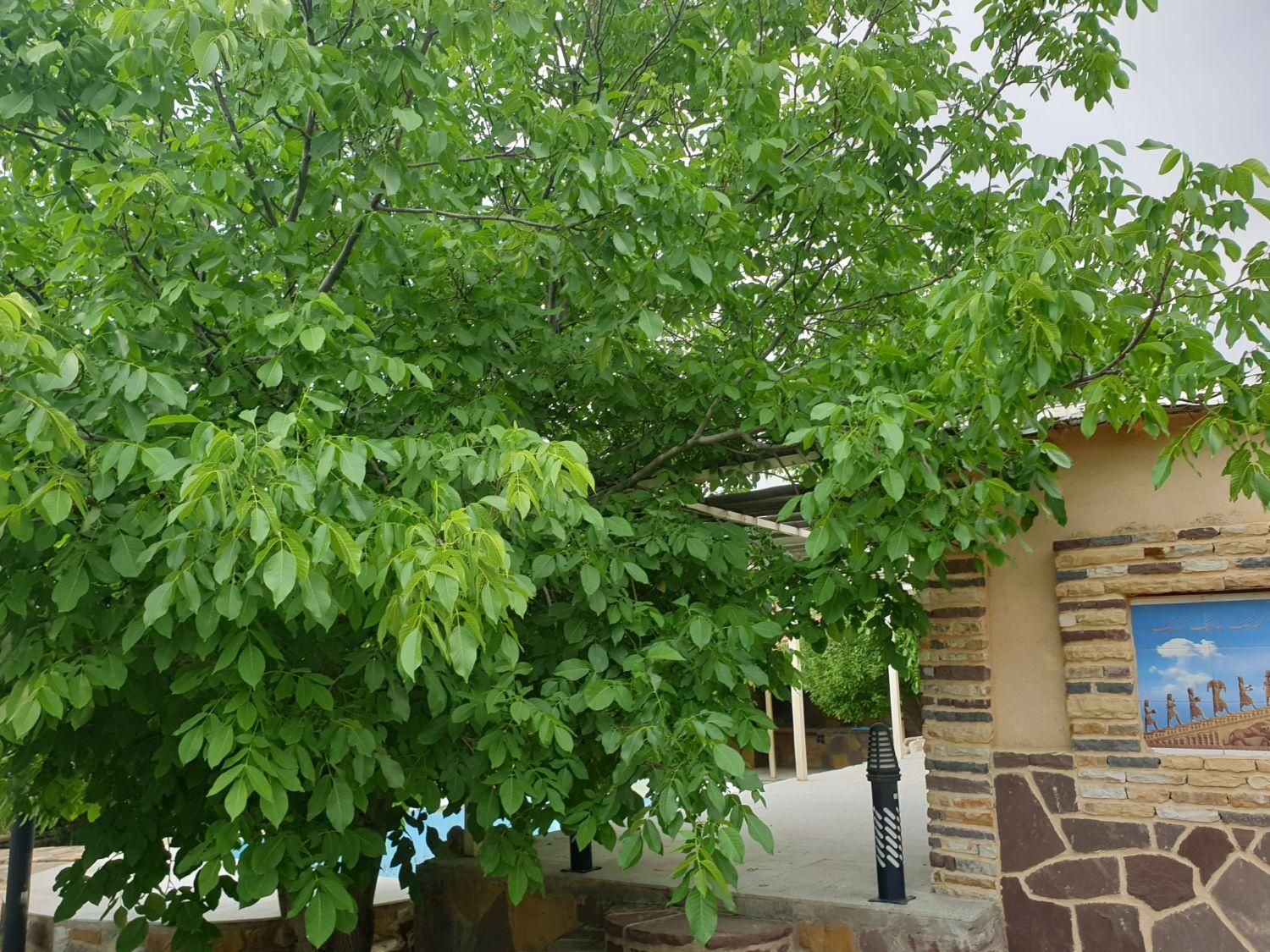 باغ در منطقه زیبای سپیدان، سربست، حسن آباد|فروش خانه و ویلا|شیراز, ملاصدرا|دیوار