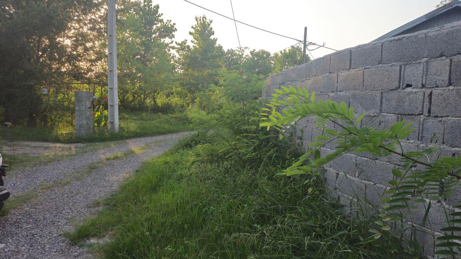 ۵۰۰مترزمین مسکونی/برای ساخت ویلا/اشمان کماچال|فروش زمین و ملک کلنگی|آستانه اشرفیه, |دیوار
