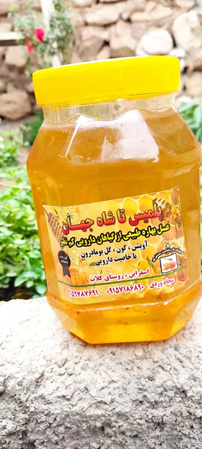 عسل بهاره درجه یک به همراه موم و ژل رویال|خوردنی و آشامیدنی|مشهد, هفده شهریور|دیوار
