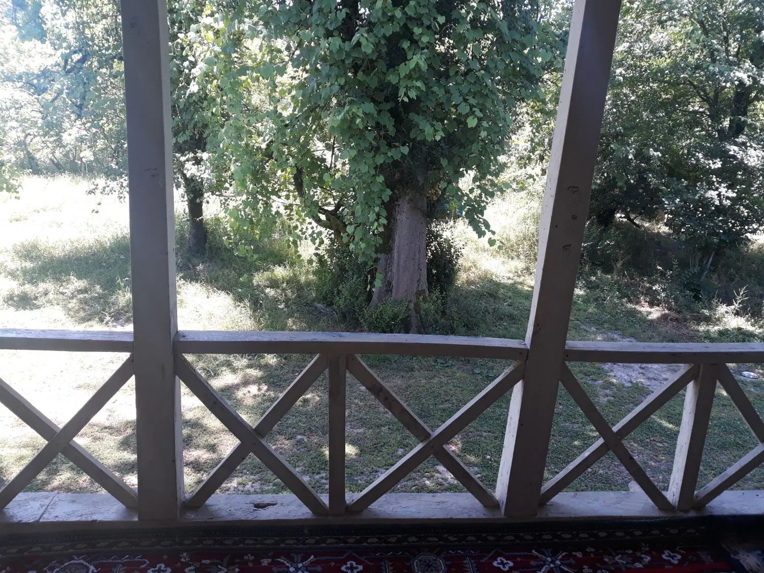 ۱۷۰زمین در ولوکس|فروش زمین و ملک کلنگی|رشت, عینک|دیوار