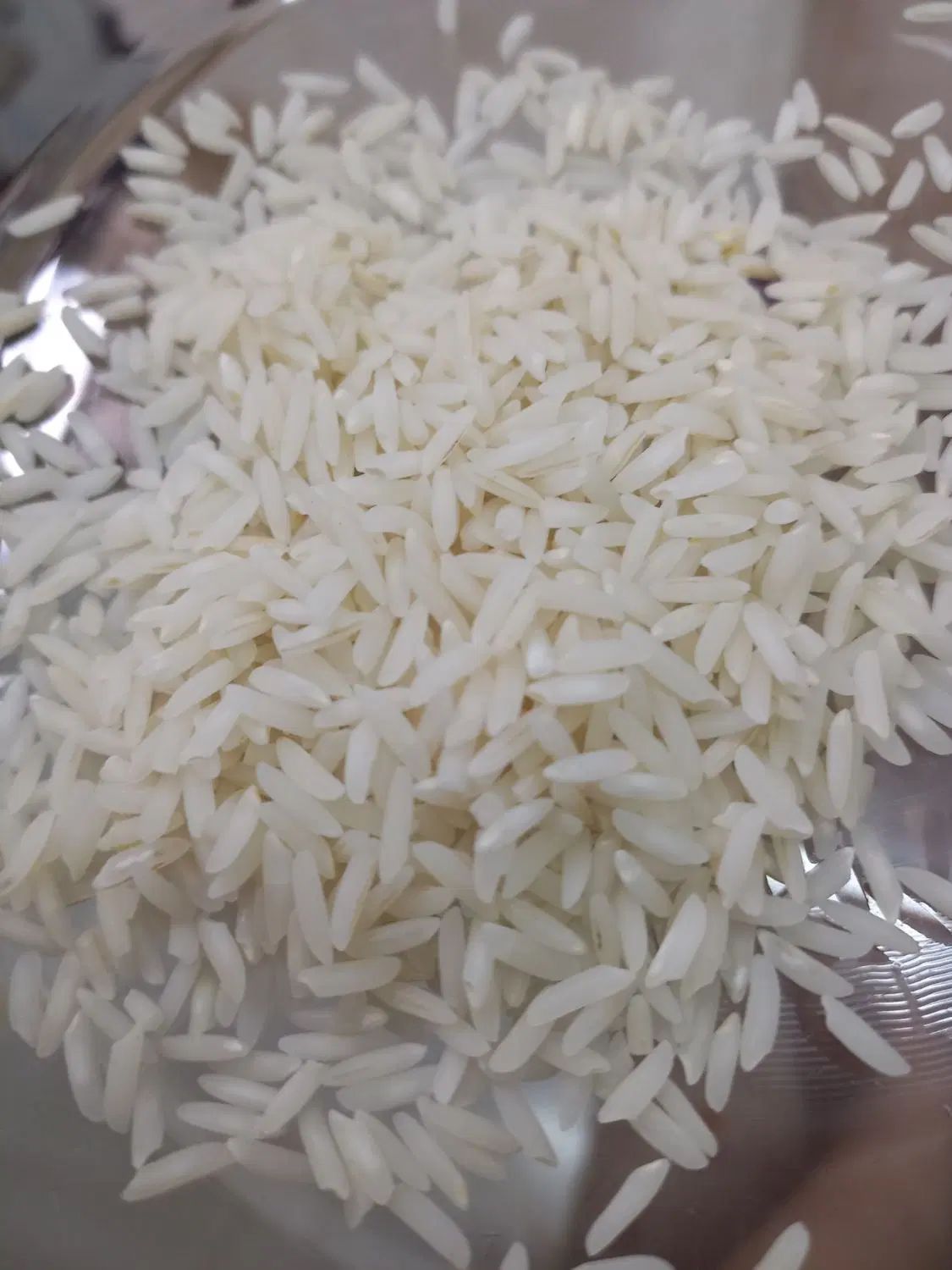 برنج هاشمی درجه یک ۱۴۰۴|خوردنی و آشامیدنی|رشت, دیلمان|دیوار