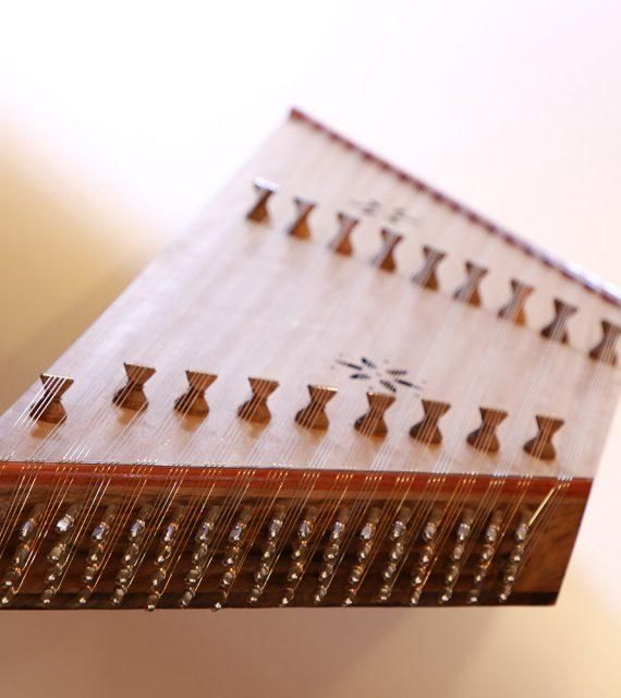 آموزش سنتور|خدمات آموزشی|بندرعباس, |دیوار