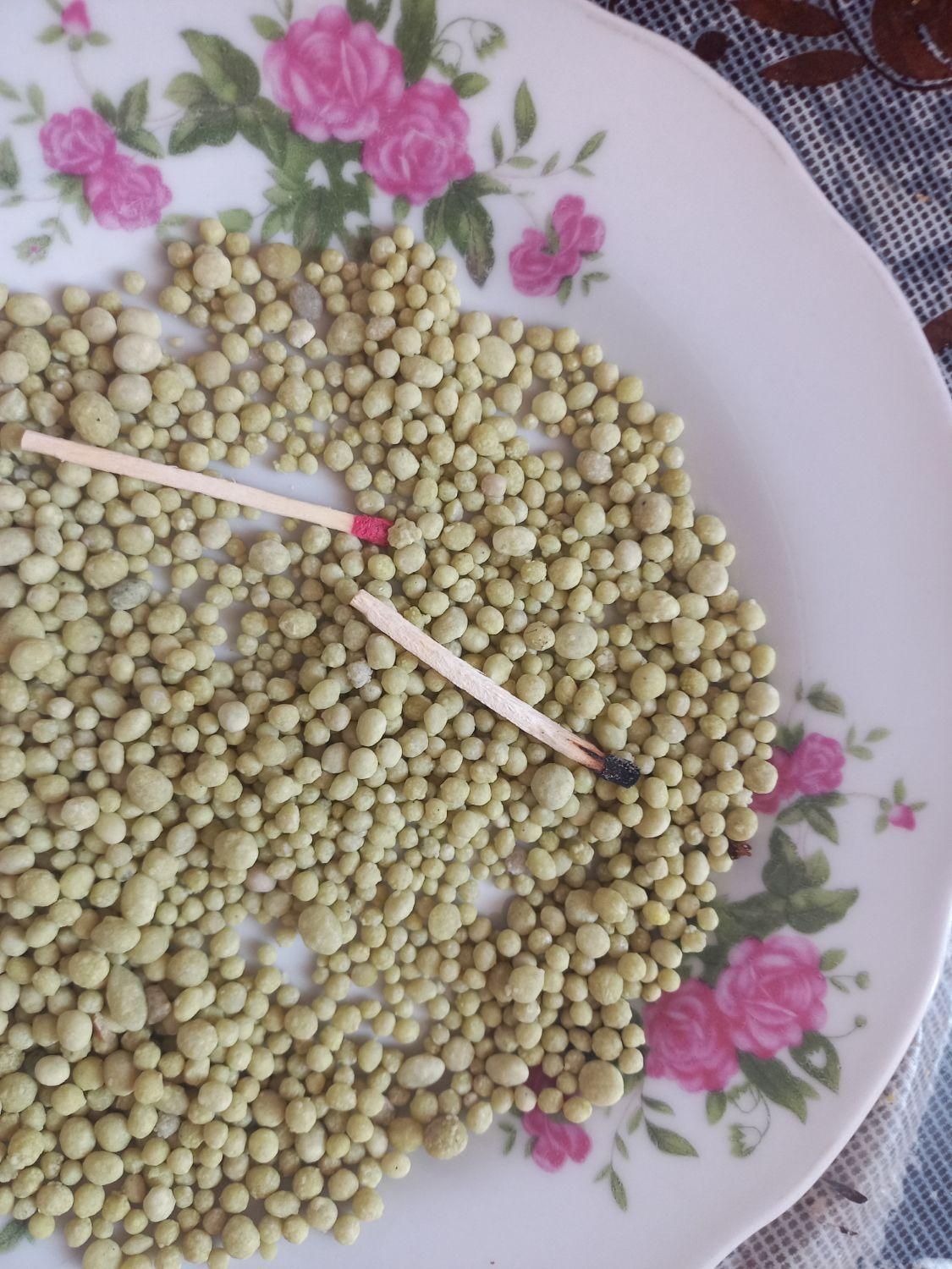 کود تخصصی  برنج . چغندر . ذرت . جالیز . سیب زمینی|خدمات باغبانی و درختکاری|ایلام, |دیوار