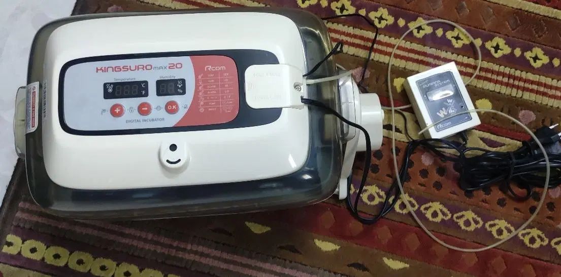 دستگاه جوجه کشی RCom)kingsoru.max20)|لوازم جانبی حیوانات|تهران, مهستان|دیوار