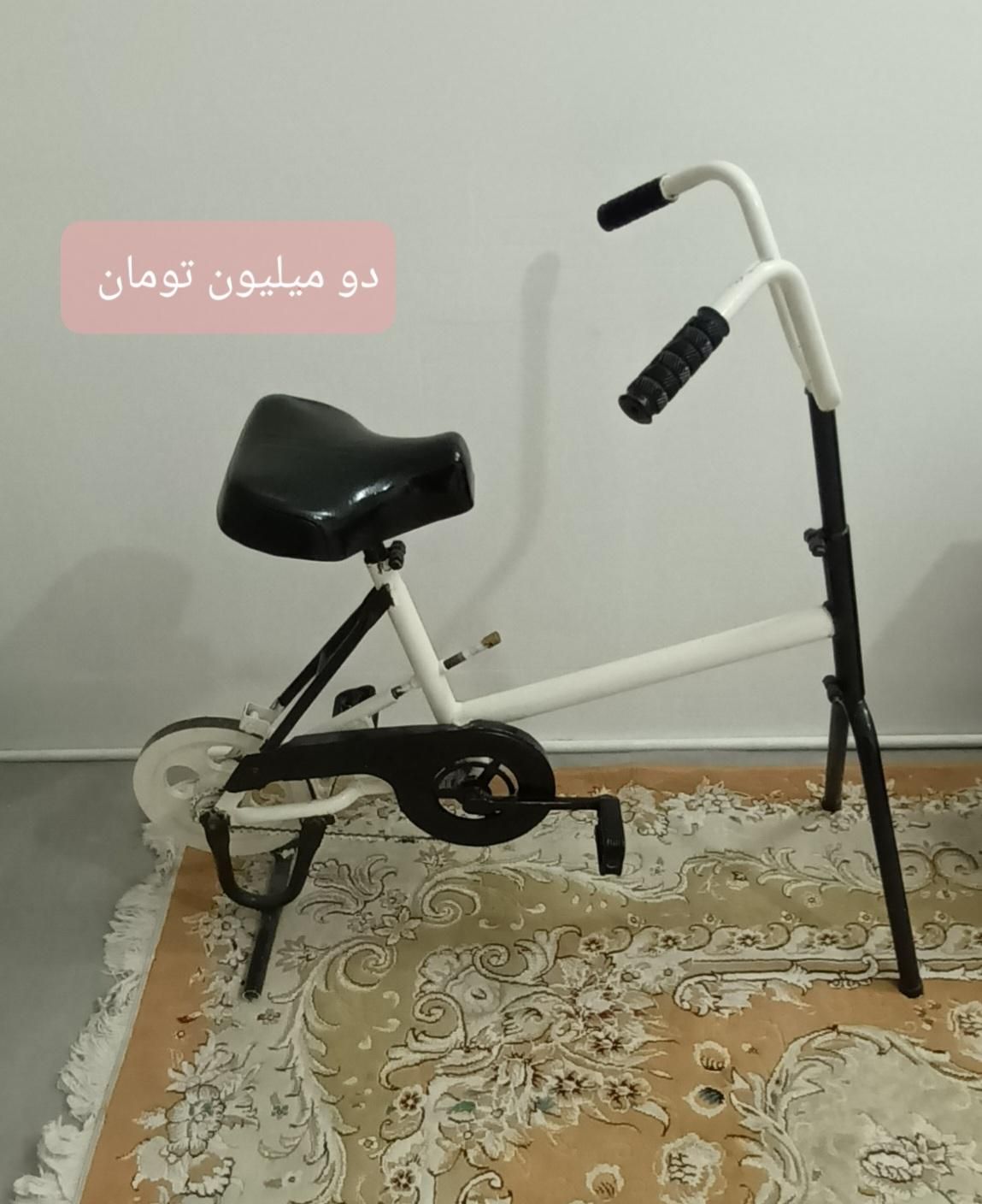 دوچرخه ثابت|تجهیزات ورزشی|مشهد, وحید|دیوار