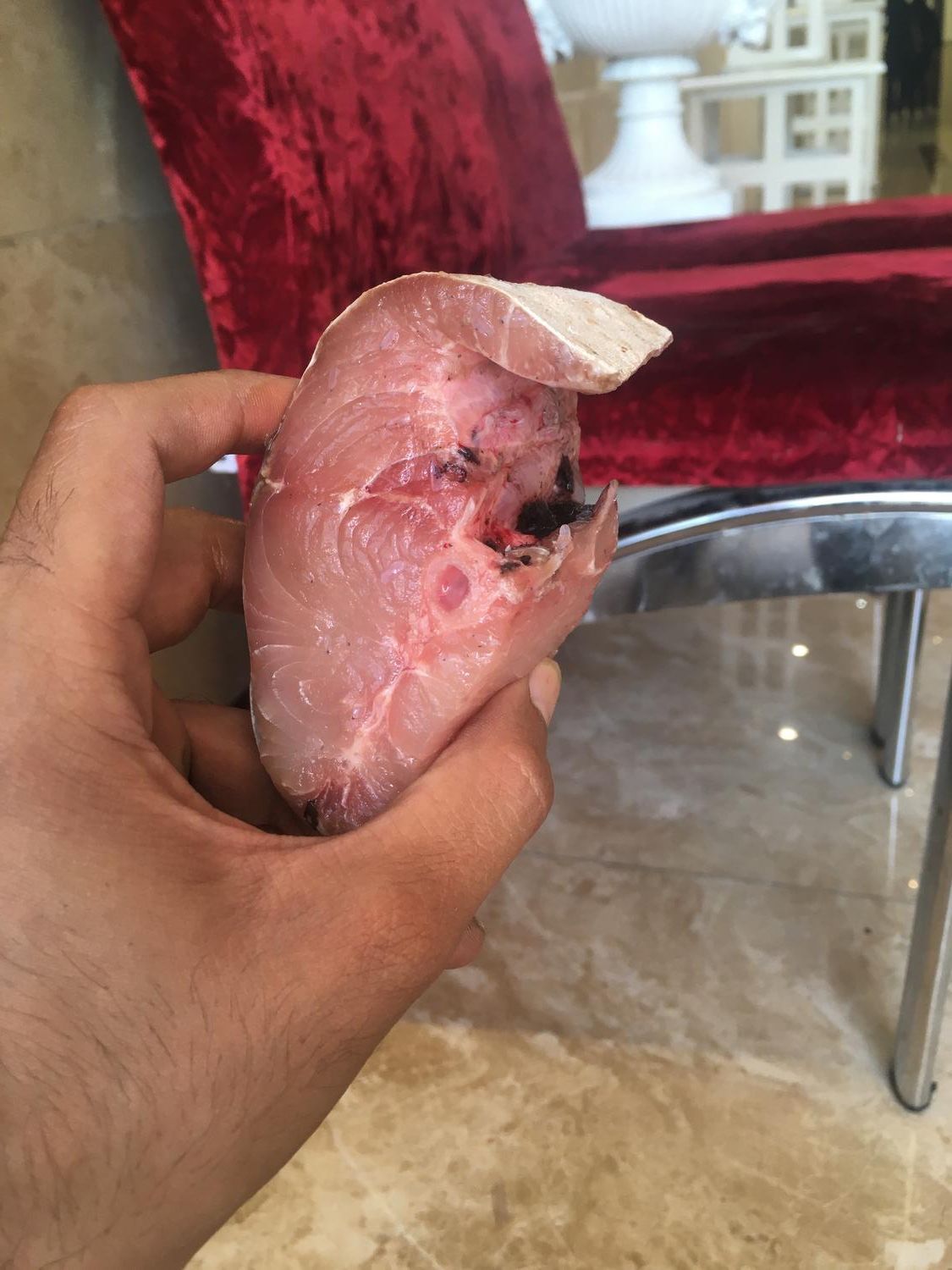 سفارش ماهی و میگو از بوشهر، تحویل درب منزل|خوردنی و آشامیدنی|تهران, بلورسازی|دیوار