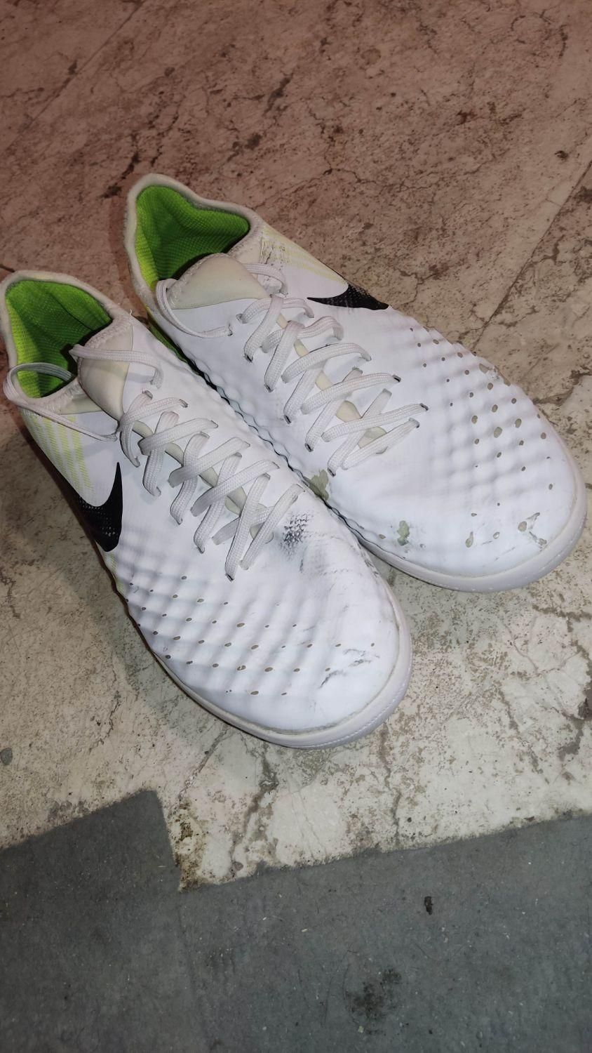 کفش فوتسال مجیستا ایکس|کیف، کفش، کمربند|سبزوار, شهرک ابوذر|دیوار