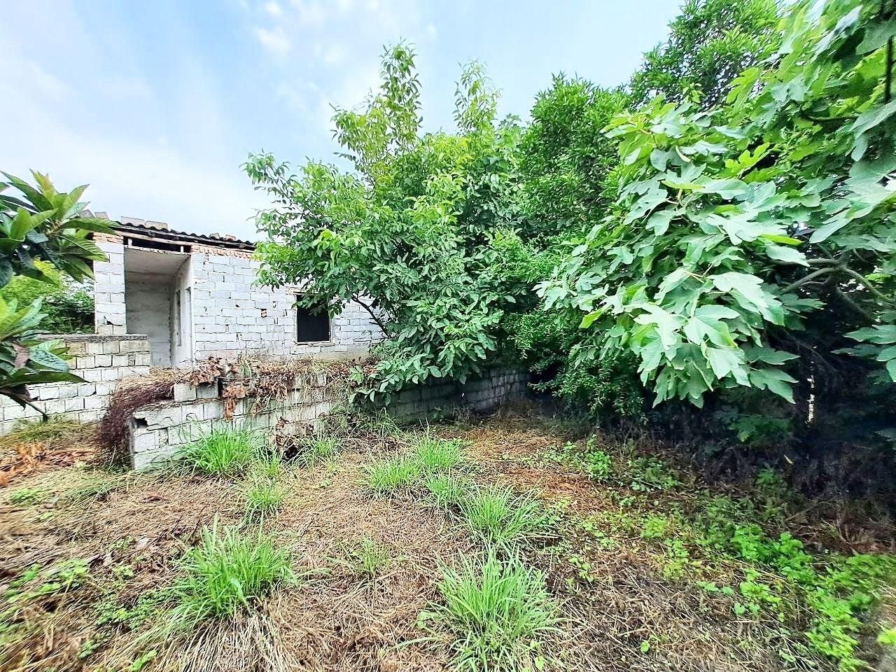 270مترخونه باغ/مدارک کامل/انشعابات نصب/فروش فوری|فروش خانه و ویلا|فریدون‌کنار, |دیوار