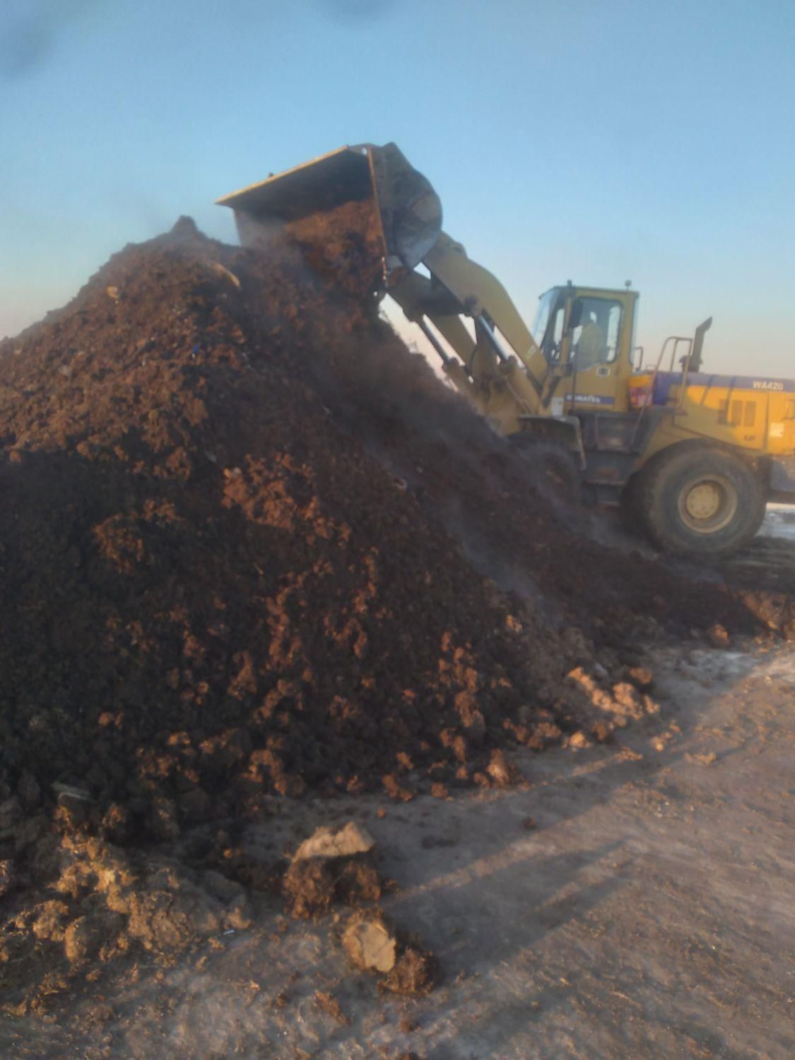 کودگاوی کوسفندی مرغی|خدمات باغبانی و درختکاری|ماهدشت, |دیوار