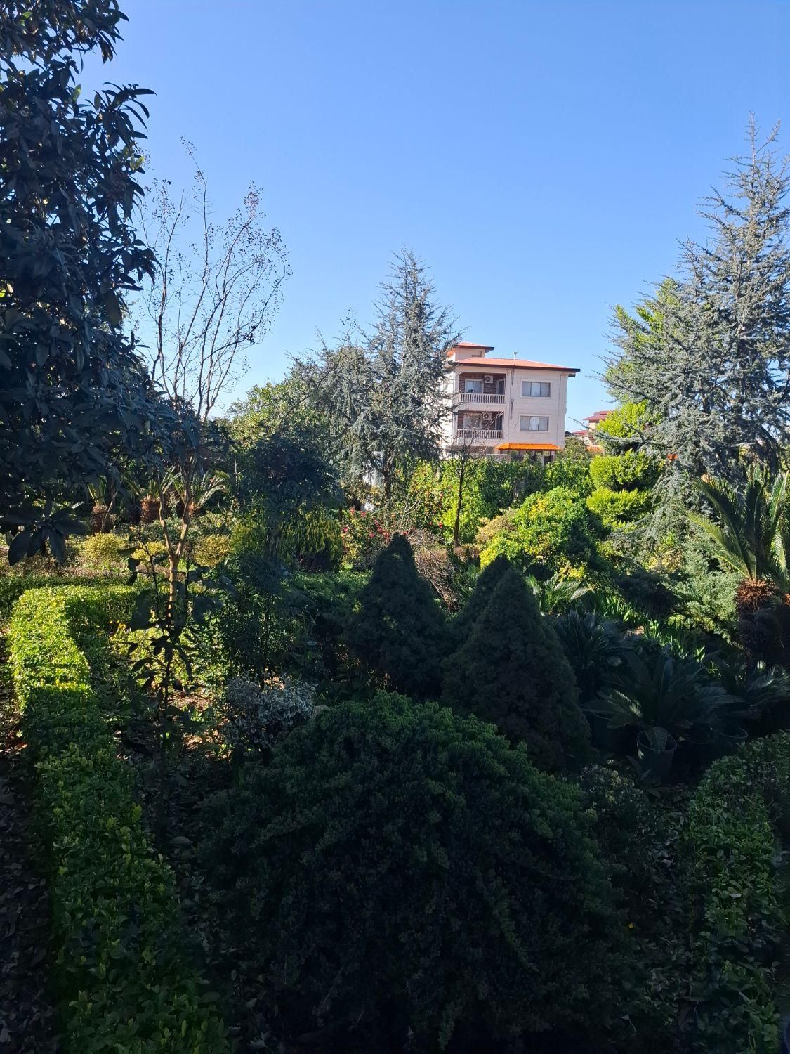 آپارتمان ویلاکوهپایه روبه کوه وجنگل بکر و ویو زیبا|اجارهٔ کوتاهمدت ویلا و باغ|رامسر, |دیوار