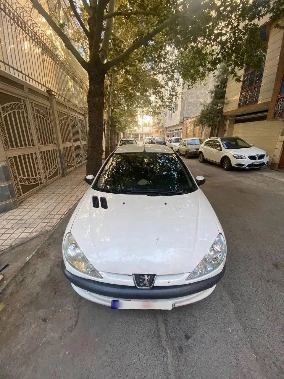 206v8تیپ۵ مدل۹۳|خودرو سواری و وانت|مشهد, فتح المبین|دیوار