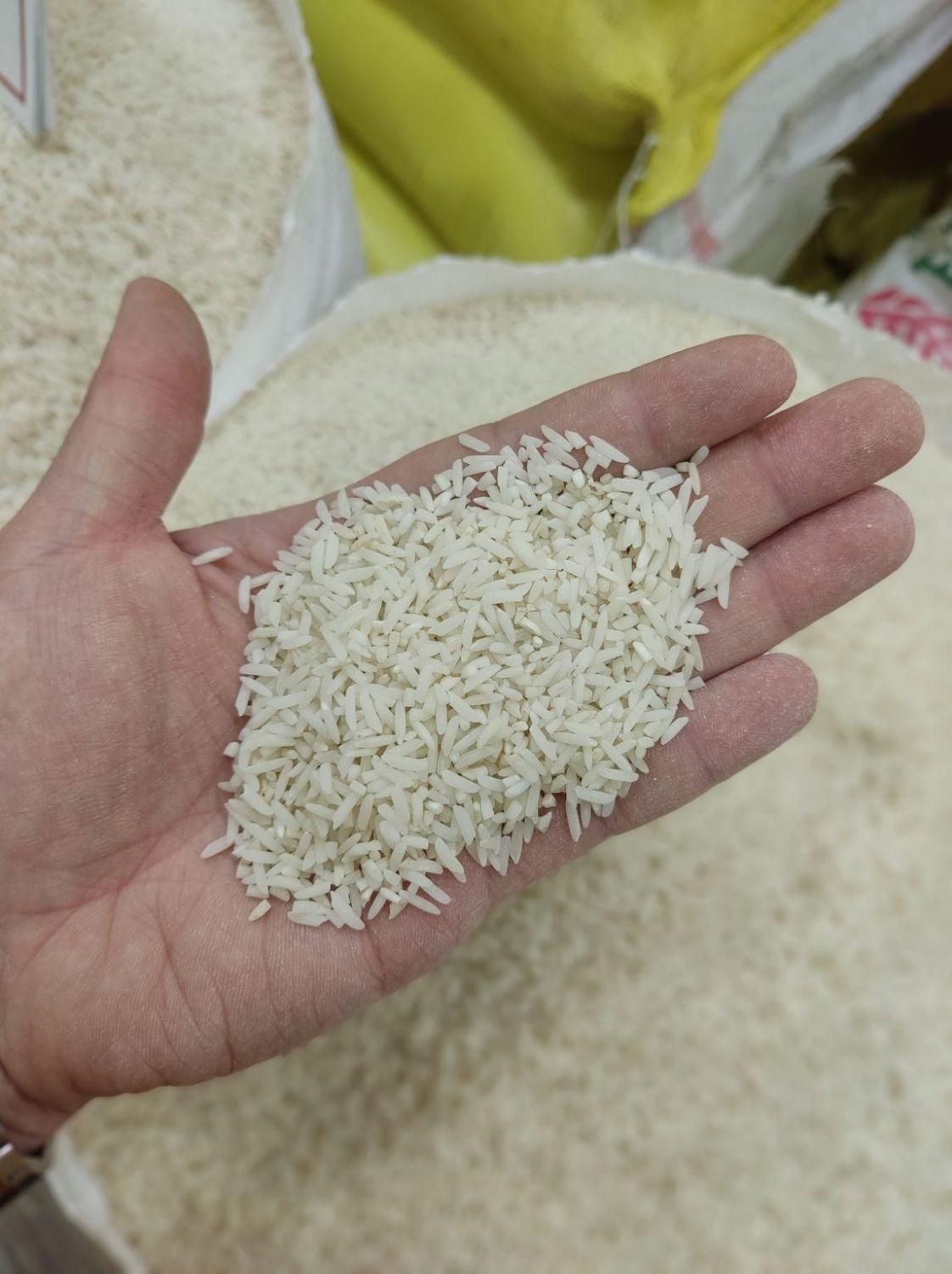 برنج هاشمی درجه ۱ خوش پخت|خوردنی و آشامیدنی|رشت, لاکان|دیوار