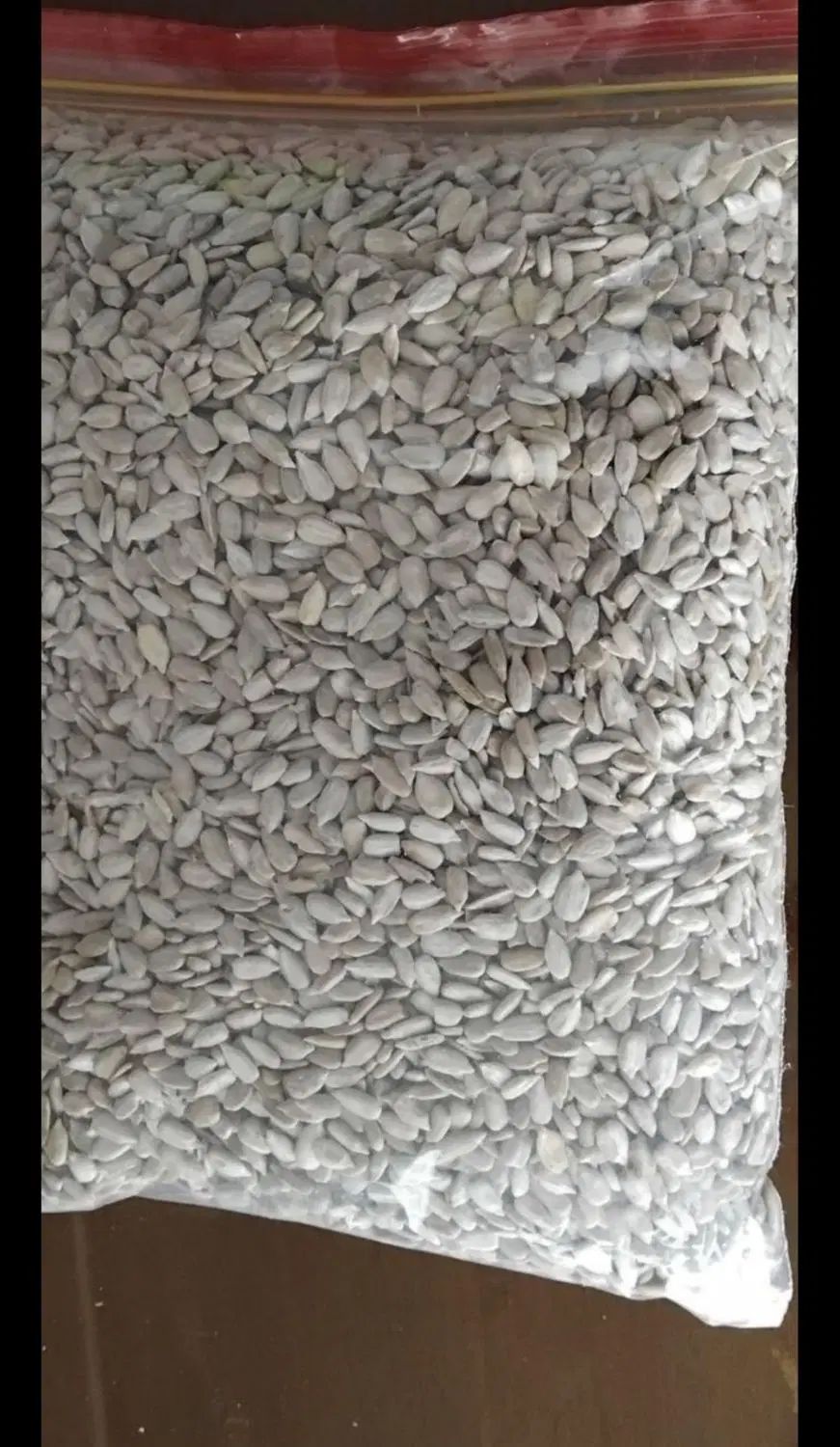 مژده مژده مغز خام و تازه آفتاب گردون شارژشد|خوردنی و آشامیدنی|سبزوار, قاضی زاد|دیوار