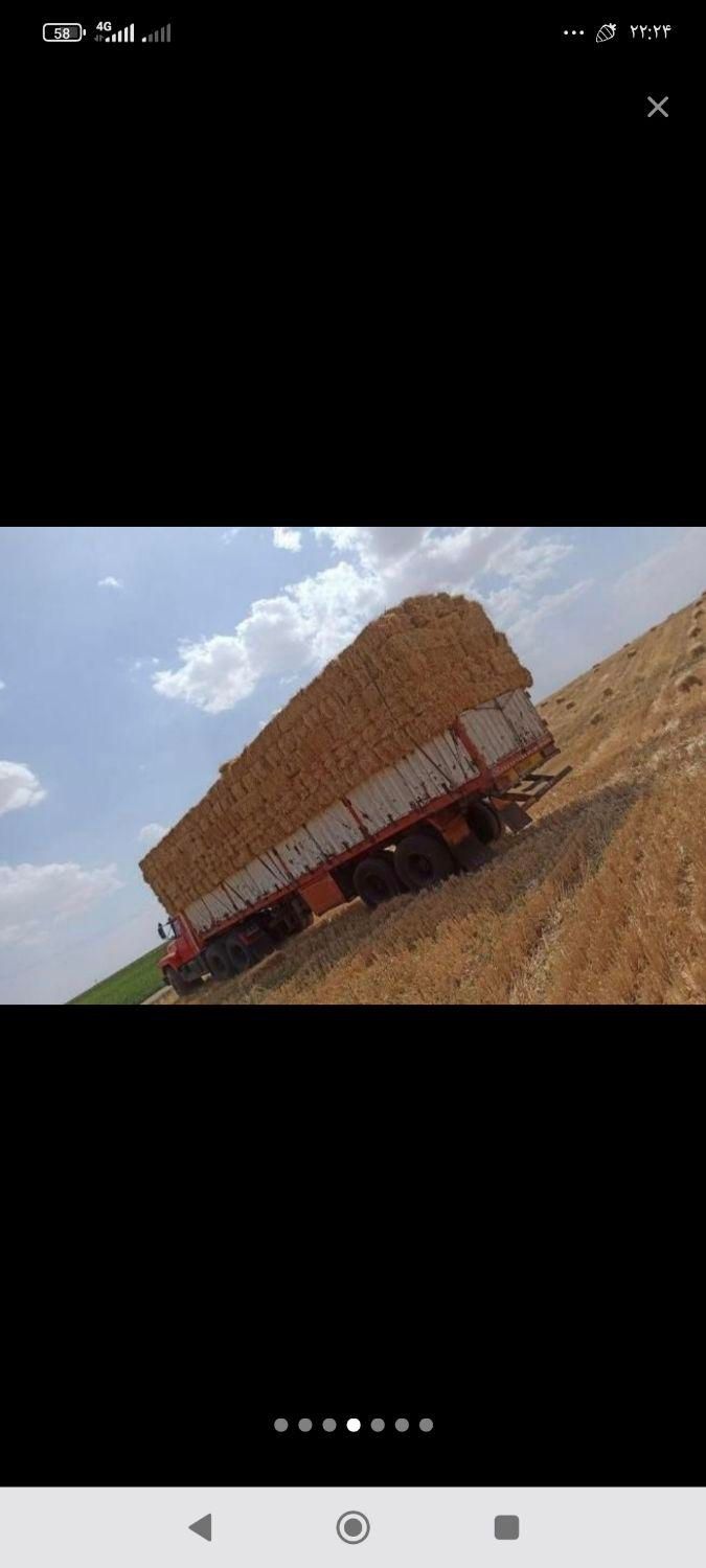 خرید پرس کلش گندم نقدی|خدمات باغبانی و درختکاری|دورود, |دیوار