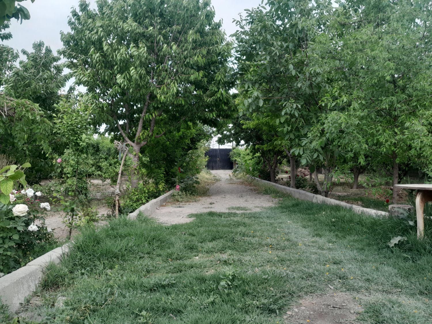 کمپ ترک اعتیاد تمایلی. تخفیف ویژه VIP|خدمات آرایشگری و زیبایی|چهارباغ, |دیوار