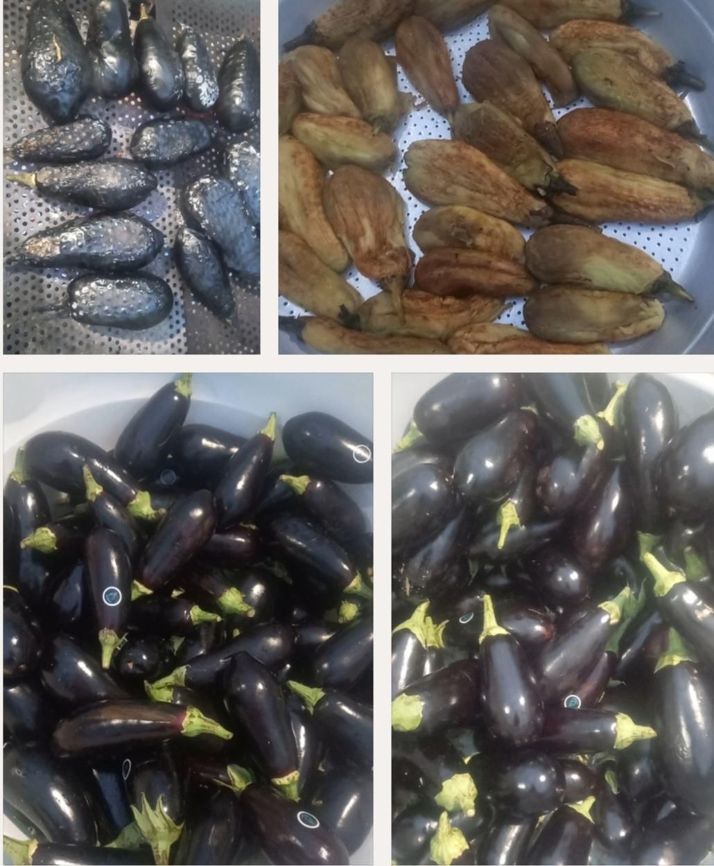 سبزی انواع سبزی و پیاز سرخ شده و بادمجان|خوردنی و آشامیدنی|رشت, نامجو|دیوار