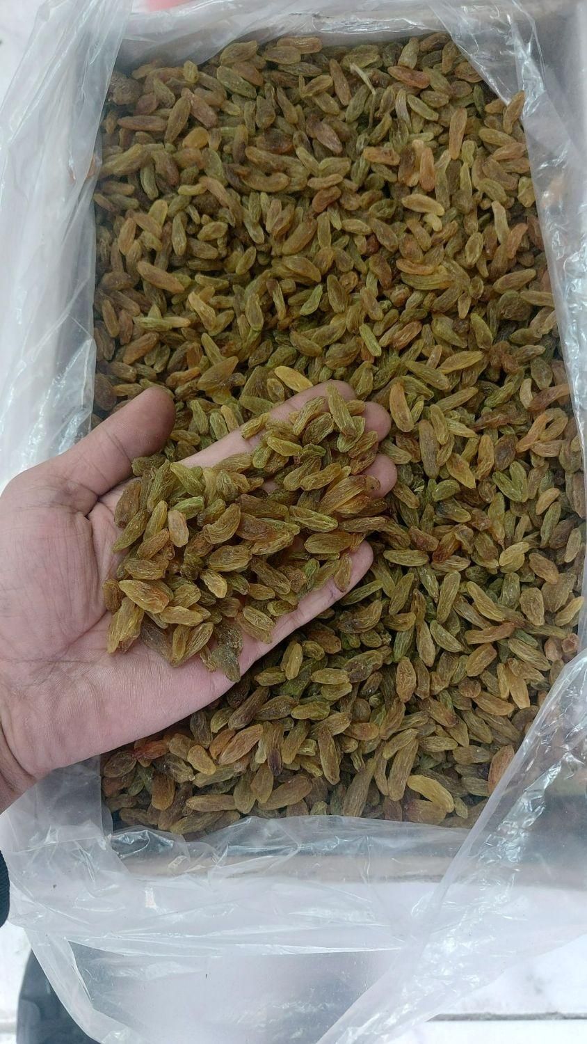 انواع کشمش خوراکی و آبگیری جلال|عمده‌فروشی|مشهد, پایین خیابان|دیوار