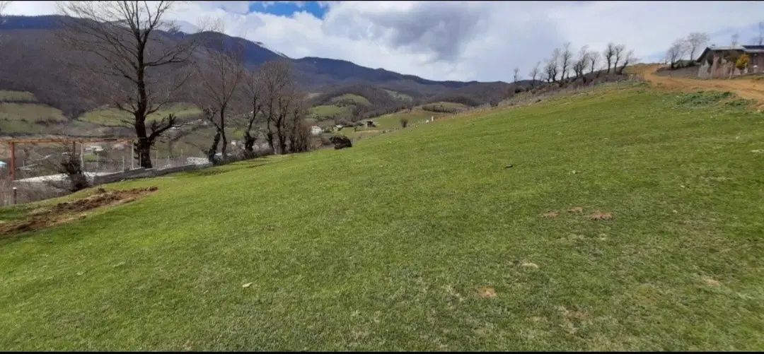 ۳۰۰ متر زمین واقع در مازندران مرزن آباد اغوزداربن|فروش زمین و ملک کلنگی|مرزن‌آباد, |دیوار