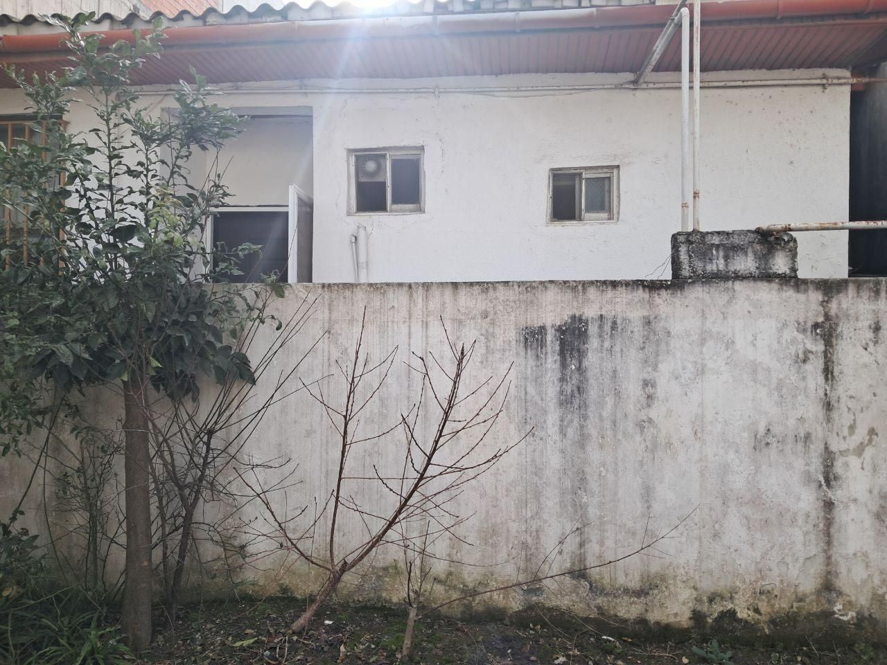 مشارکت در ساخت ساحلی پلاک ۱ دریا محمودآباد|مشارکت در ساخت املاک|محمودآباد, |دیوار