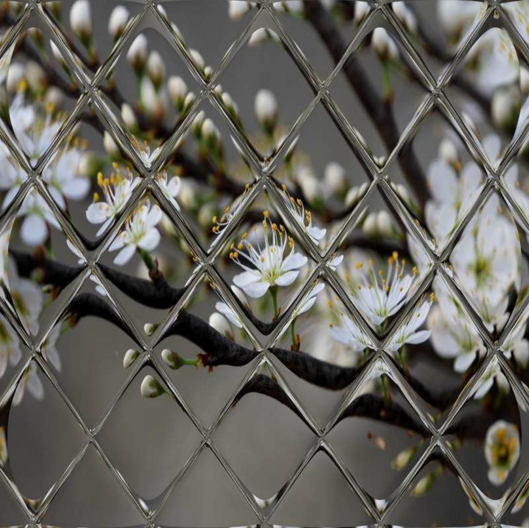 مرکز پخش آسمان مجازی پوستر۳بعدی کناف کلیک|مصالح و تجهیزات ساختمان|کرمان, |دیوار