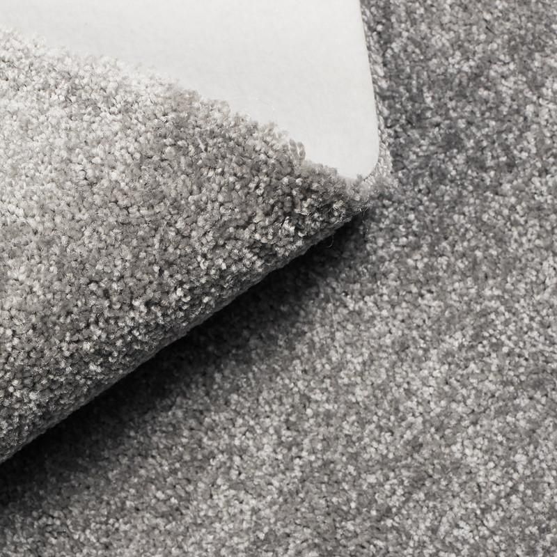 پالاز موکت شقایق موکت تندیس ۲۰۷۳|موکت|قم, باسکول|دیوار