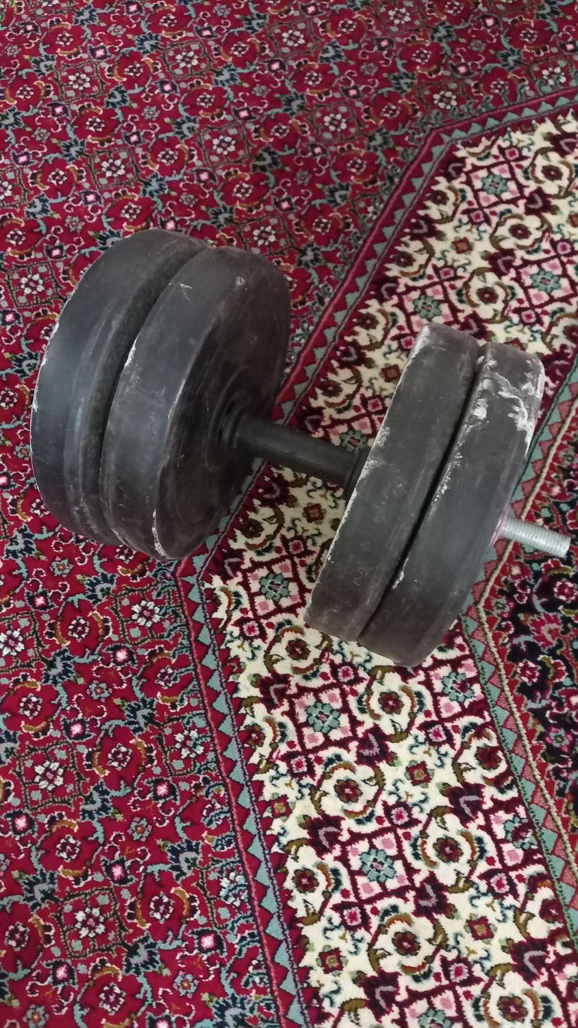 دمبل|تجهیزات ورزشی|پیشوا, |دیوار