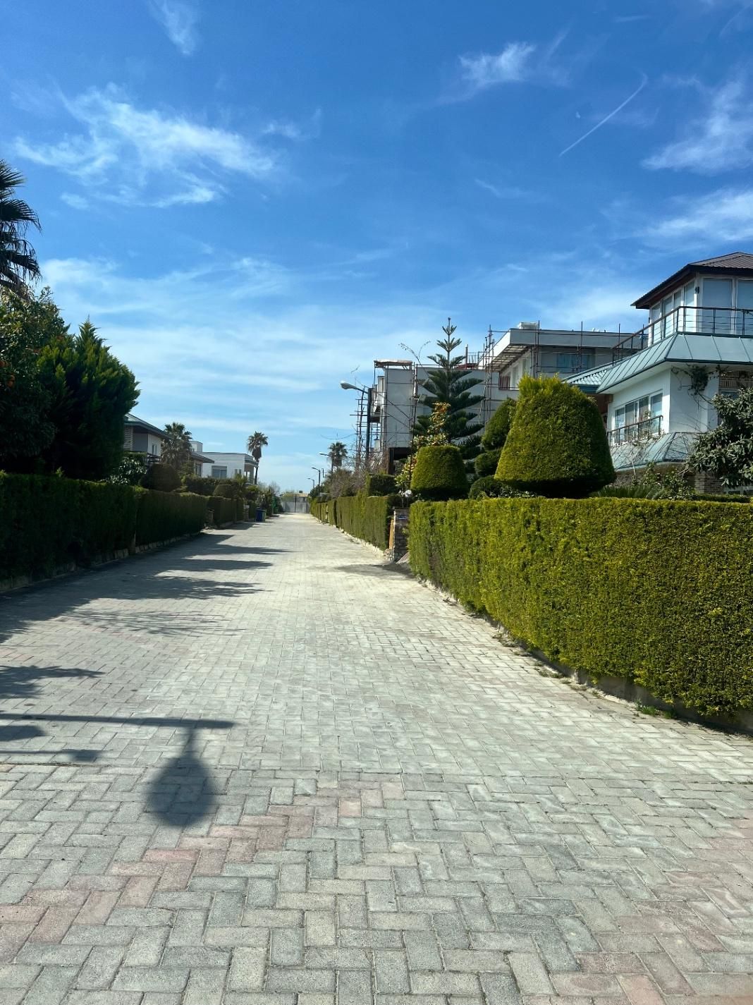 ۷۶۵ متر زمین در شهرک برند کوشا سیاهرود|فروش زمین و ملک کلنگی|رویان, |دیوار