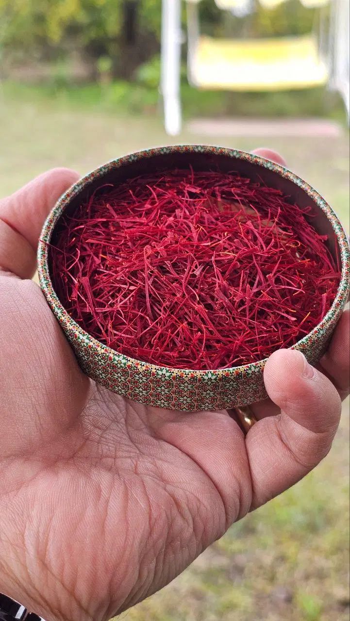 زعفران اصل قاینات/سرگل/ دختر پیچ+مستقیم از کشاورز|خوردنی و آشامیدنی|بافق, |دیوار